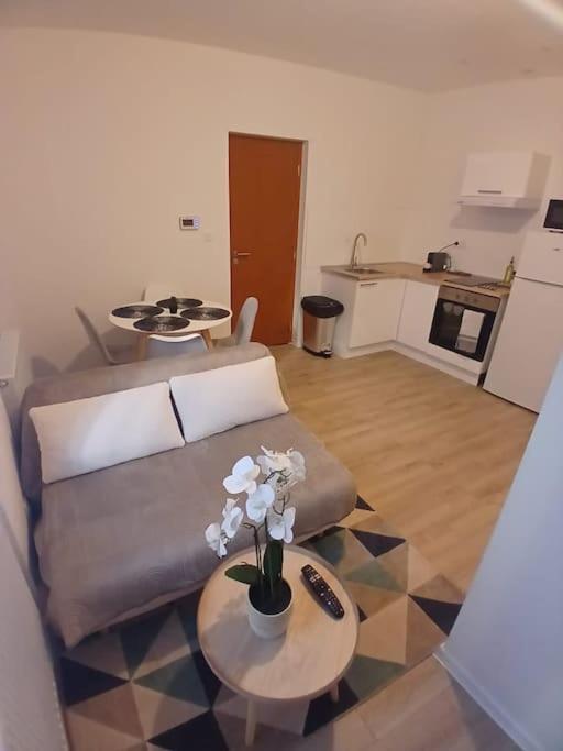 Appartement F1 Orchidee Mulhouse Eksteriør bilde