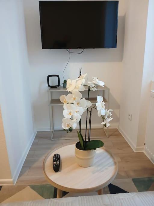 Appartement F1 Orchidee Mulhouse Eksteriør bilde